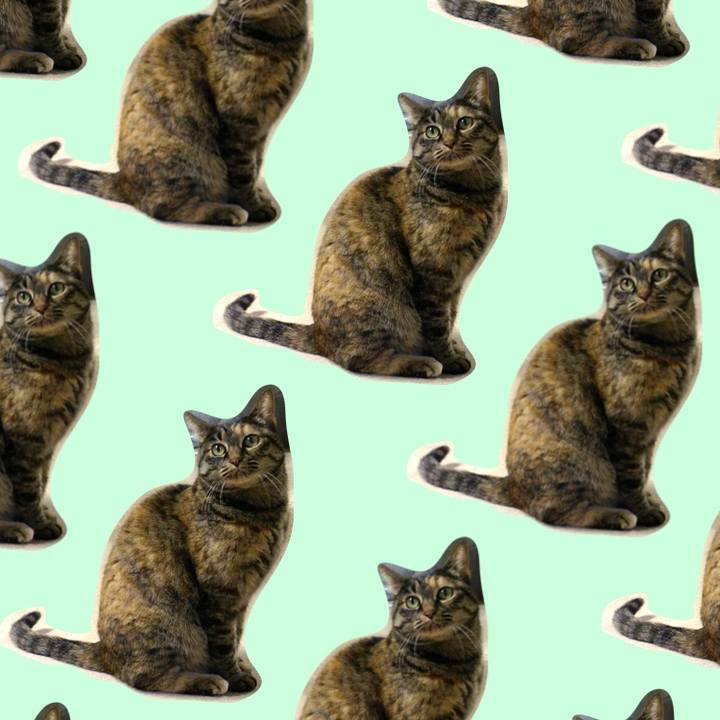 90e1f372 b87a 479b 9b9d 97b31abaf9cc