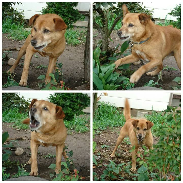 90e28fe7 fa31 48e1 a639 b2465f2c41c6