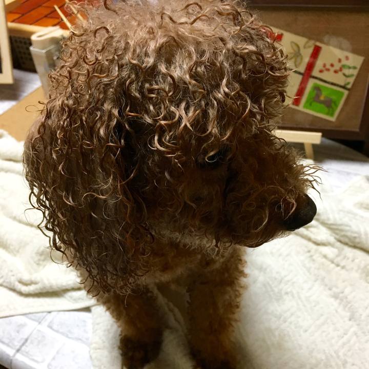 90e2ecff d479 4a4d 8b60 148b830ec78b