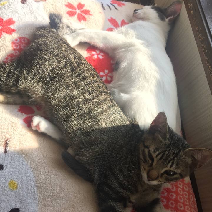 90e31ed5 7019 4f8b aaf9 ca65c4e1968f