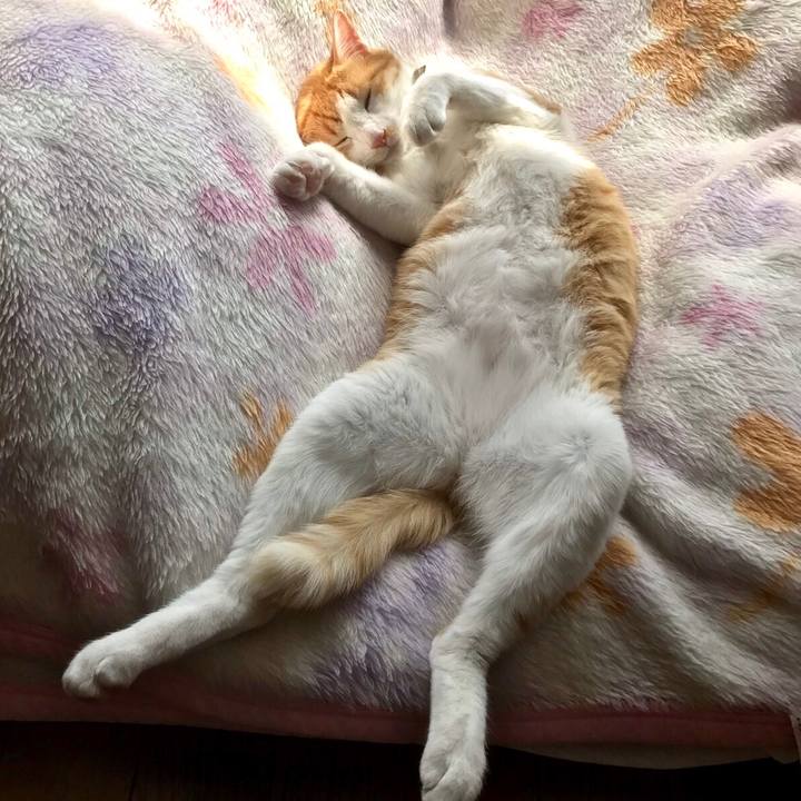 90e38a22 7951 48e6 ac96 9ce3f41d9464