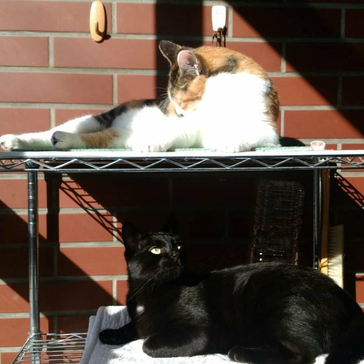 90e3d6e1 b073 48ca af6c 1636b9b658f5