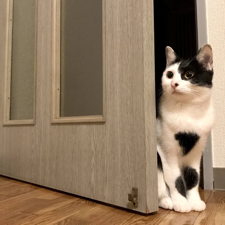 90e42b2a 9205 4b4a 8b65 a073ff1c7d99