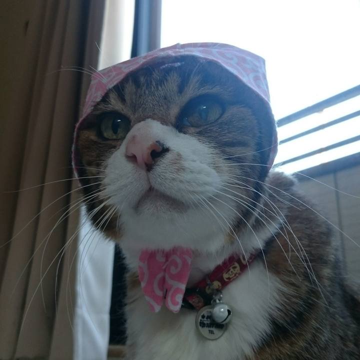 90e448fe cfe7 4da6 bb14 c458d0629eb4