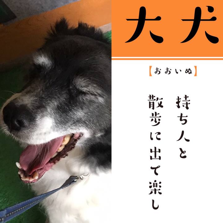 90e44bec b78b 4bbf bd9a 95dd39047e15