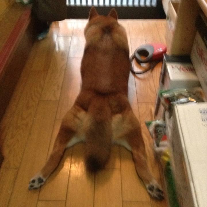 90e4be47 5fb1 419a bab6 4bf32b8a2975