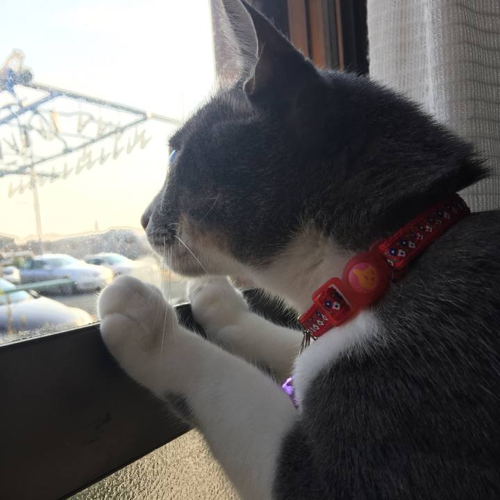 90e4e984 f18c 4e59 9bb6 ebcd38130b4d