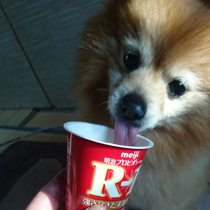 90e4ff7e 2f75 41b3 bb66 c6953528187f