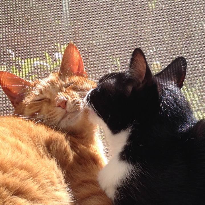 90e584fa 1b58 4166 82ba 61020f956ea1