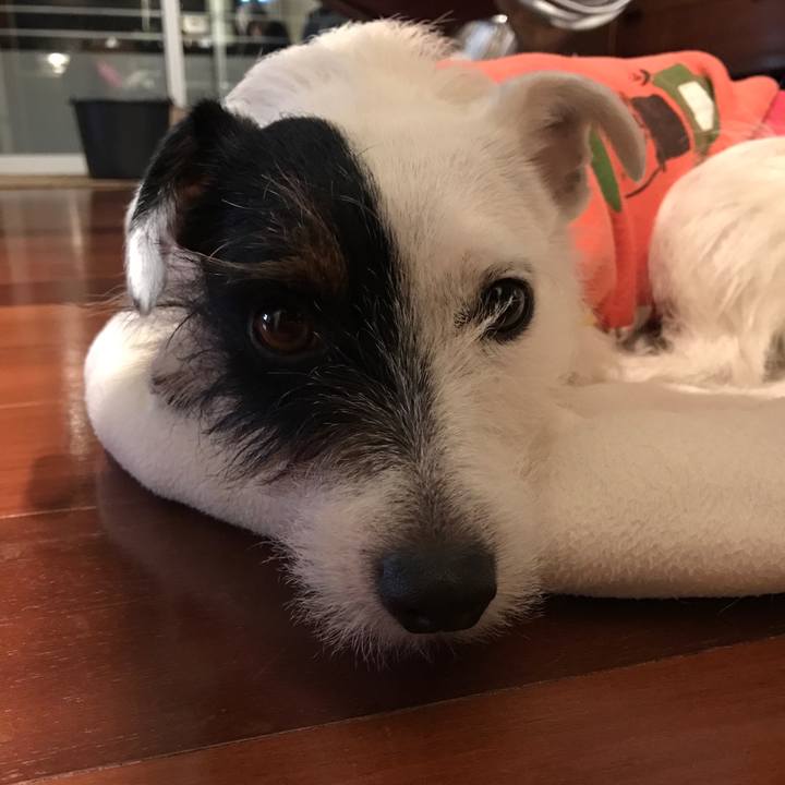 90e59345 d54f 40db 94ee 57ec9023f9f5