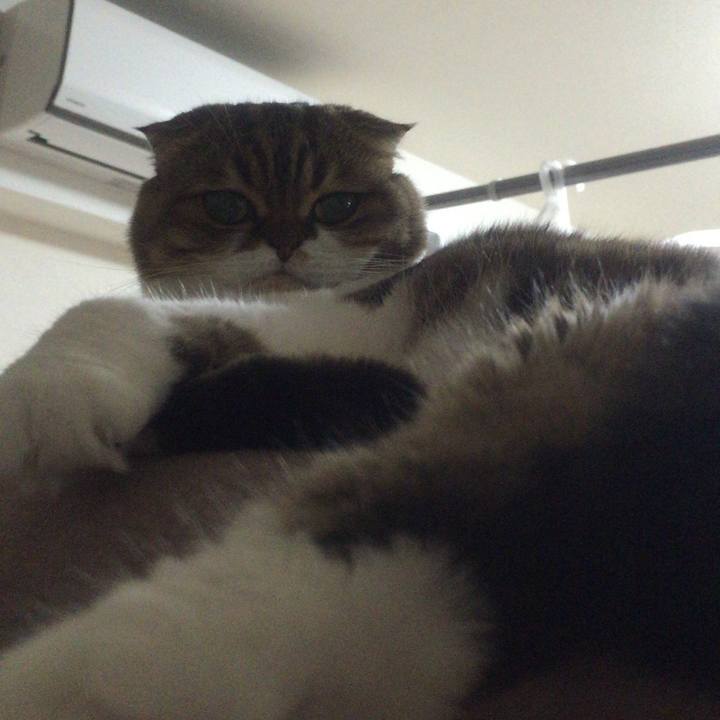 90e5f86d 37dd 44c8 a4d6 922213d7e66f