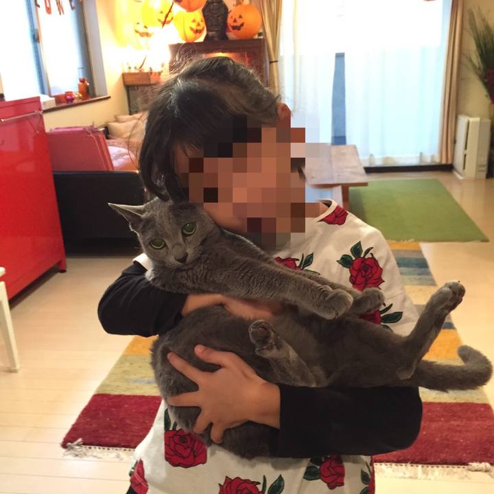 90e6093d 153f 4f5a 9289 c51aaa4c88da