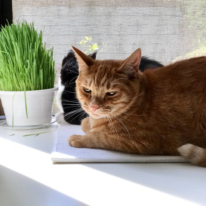 90e61370 f299 441d bedc a1f03ccdd033