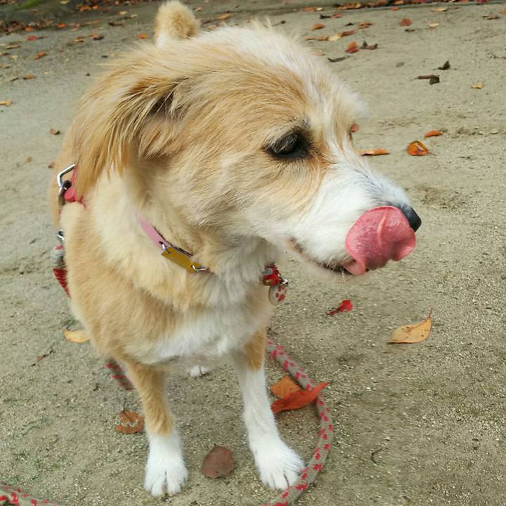 90e68866 4d2d 4442 a11a 69a6653e44af