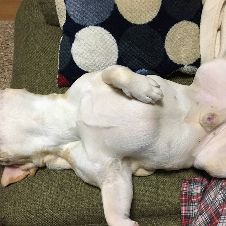 90e7294d 5969 41b8 bca5 366618ac4dd6