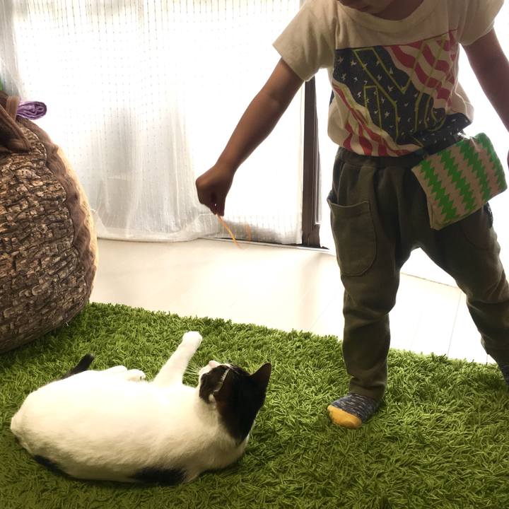 90e83e4c 2529 4903 8295 046735812a72