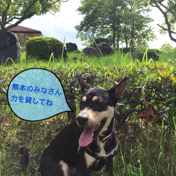 90e869d1 1fd2 4f45 9354 4324ae007135