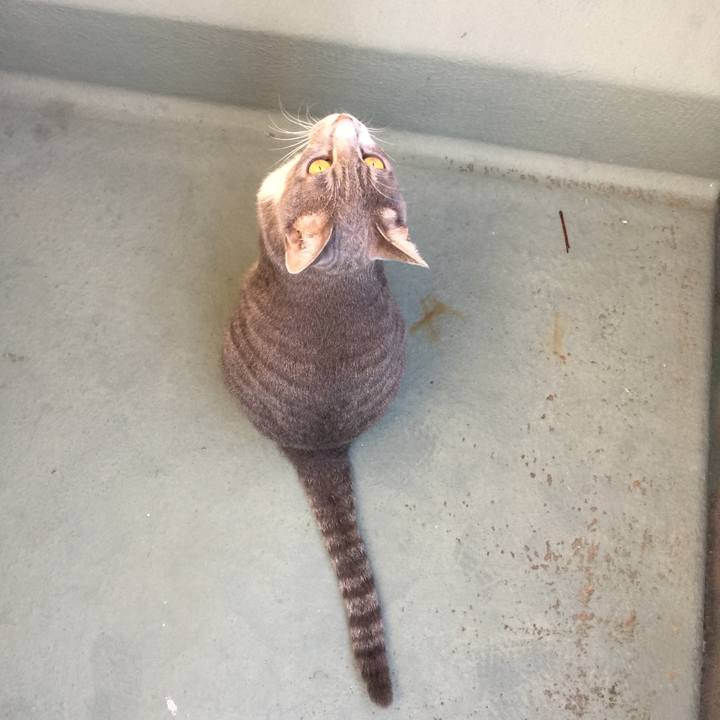 90e86c81 d149 477b 83ad 0e2db8142358