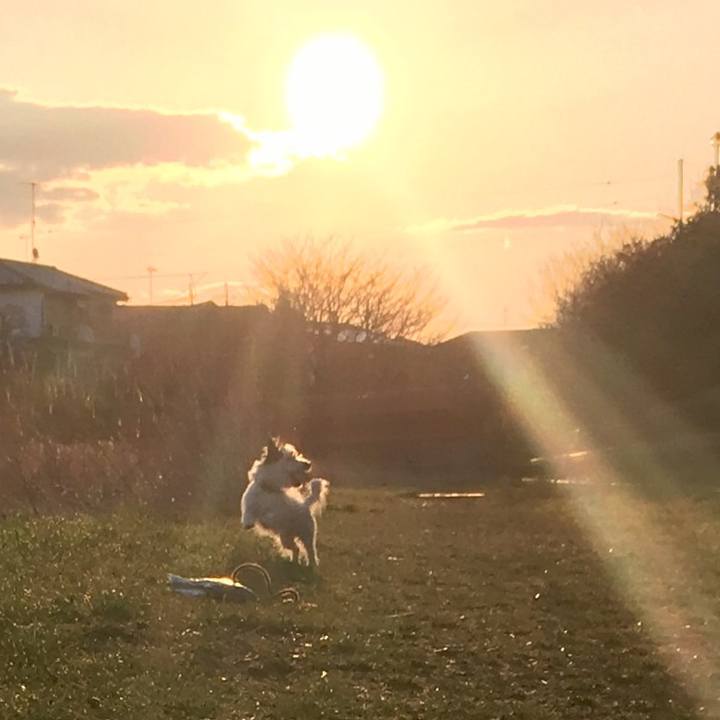 90e86eb8 e4a3 46a9 8183 9bcd70ba4e5c