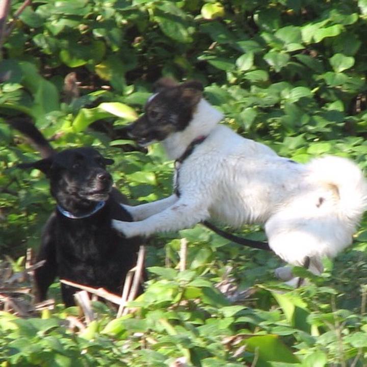 90ea12c1 a252 4cac 8efb 265257885abb