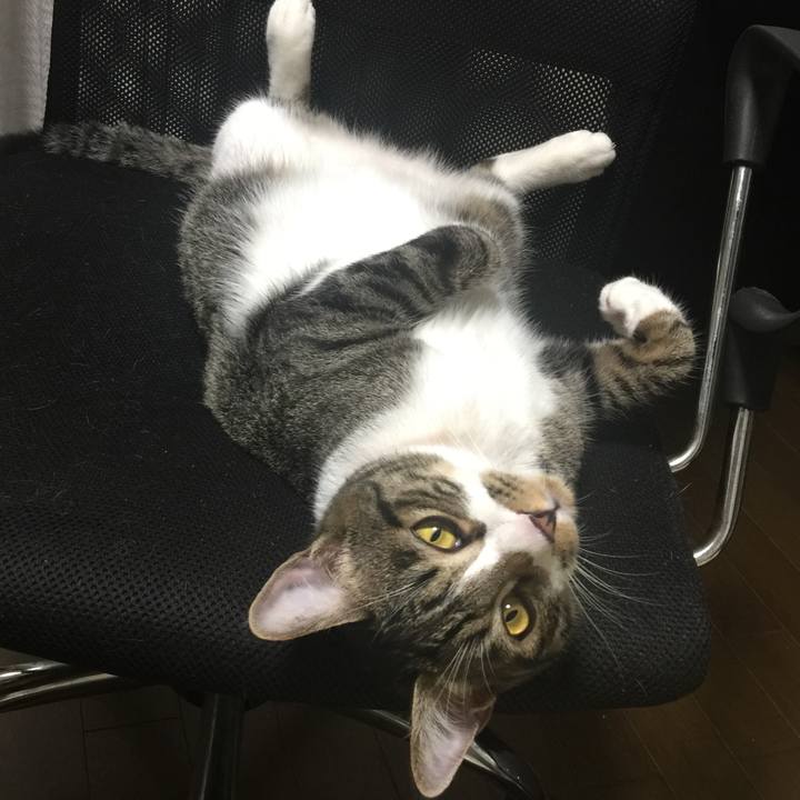 90ea8d8a 2997 43dc 97cb 1cb025ec16f3