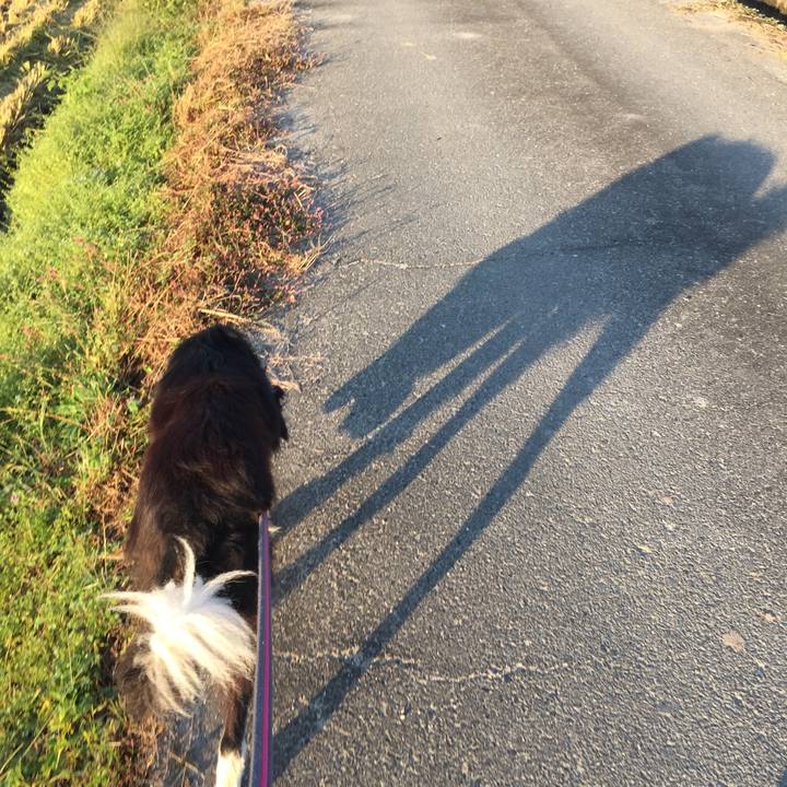 90eb5027 f5a6 40c2 a9cb 757a63c94ebe