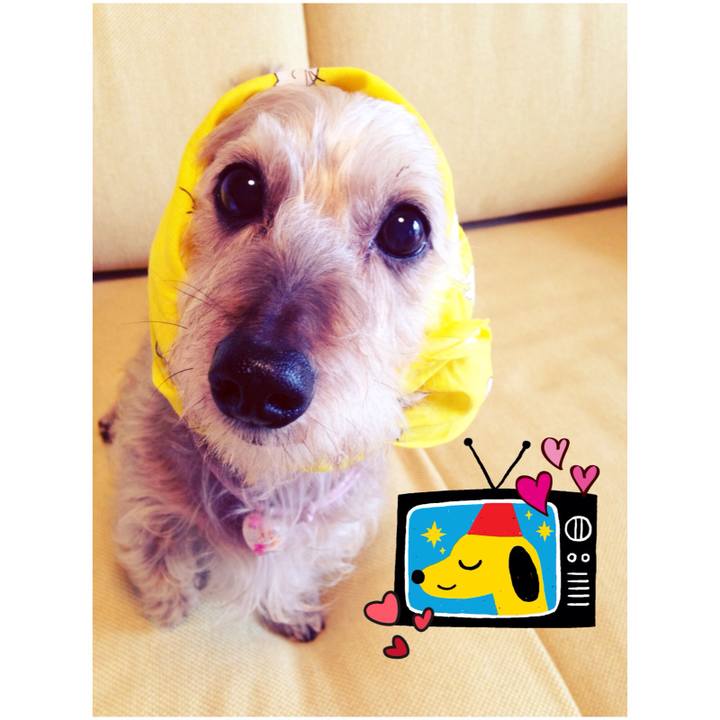 90eba81b cad4 4fed b405 ef9172243d93