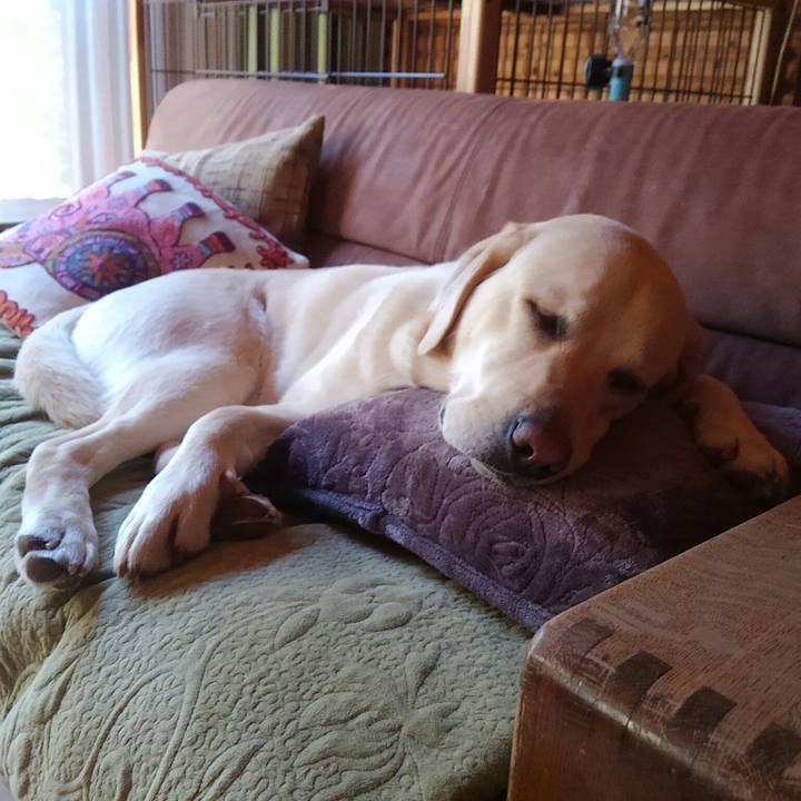 90ebde35 ebc9 4cca 9007 f3a2e0271e09