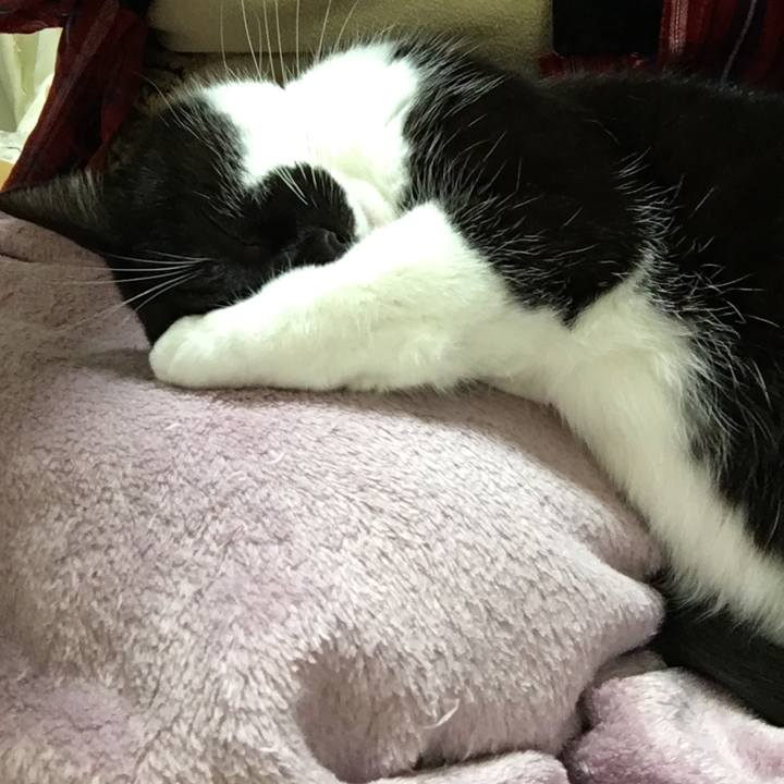 90ec57e8 9b0a 4c2f a56b 67391182c69f