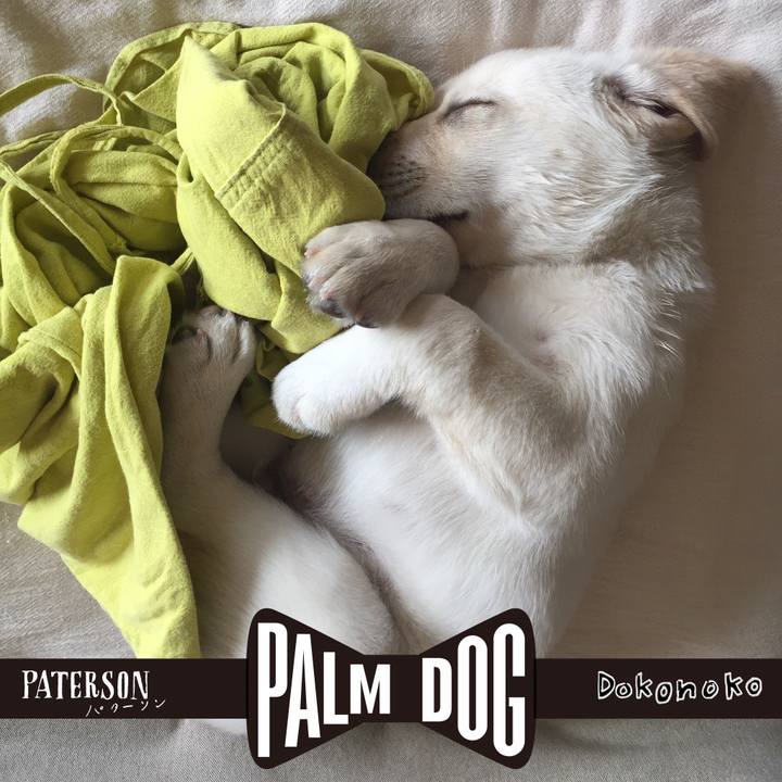 90ec826f 1fd1 49e1 a0aa 51a8ab898c0c