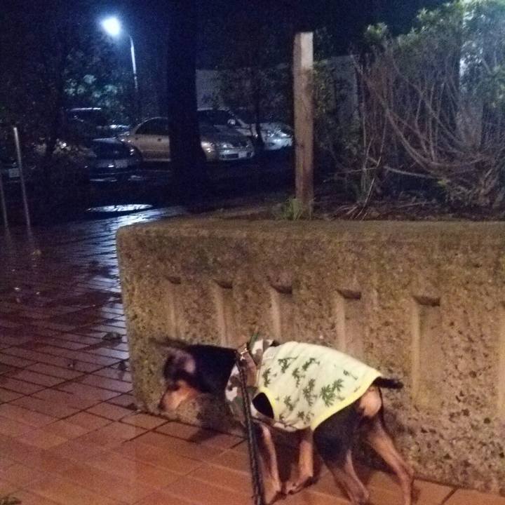 90ed2cca 92f6 4246 9833 25ab4d16b840