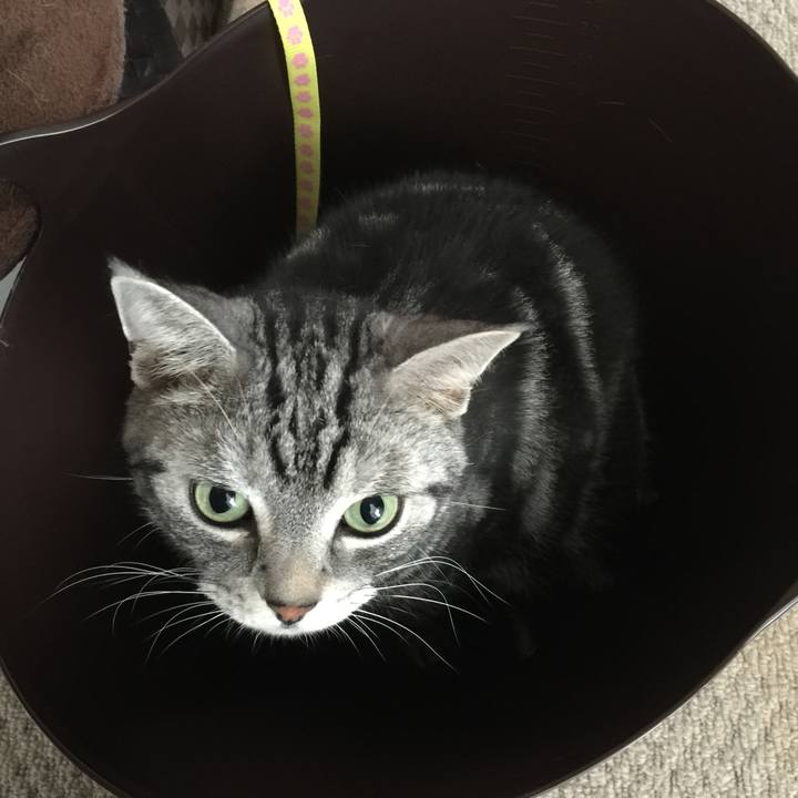 90ed4703 fd75 4a5f b2c3 2be5a4597af2