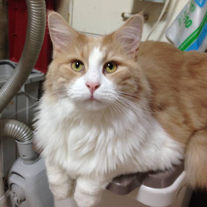 90ed619e 9f78 4b8a 8716 0b619af9dbc2