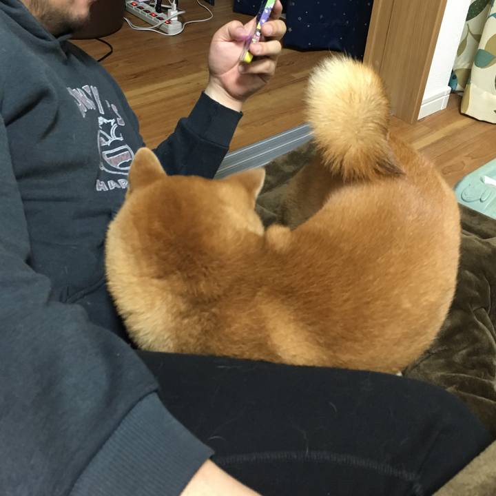 90ee496b 6f99 4ad6 9106 c565cbfb8bae