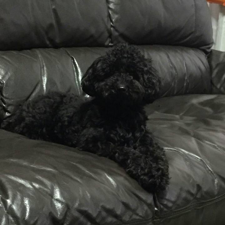 90ee997d 1e9b 4110 8314 1b04a23ec3ce