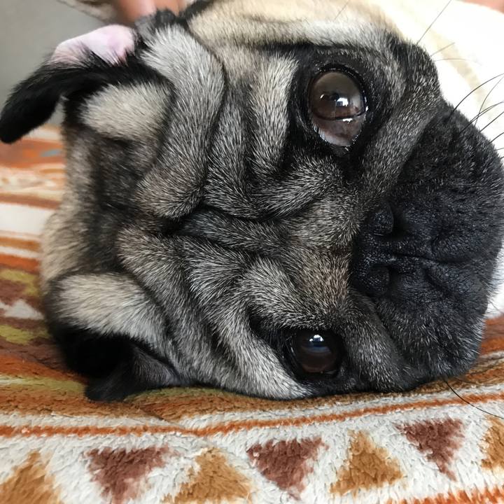 90eeac65 176d 4423 9e20 b501d2a09762