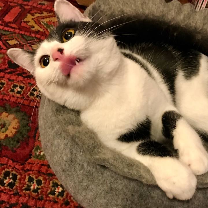 90eedc2b d56d 48f3 9f39 059e773f8e49