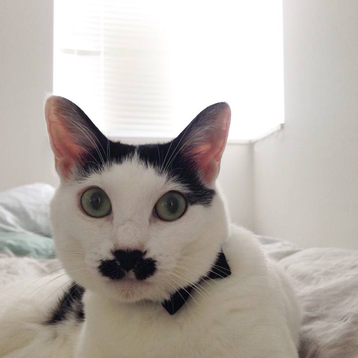 90eeebaa 700c 4463 b59e 5f64d54259f9