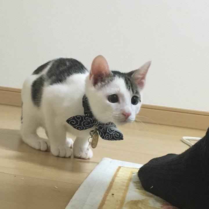 90ef1042 2540 4d8e 9b0d 435fde7b9180