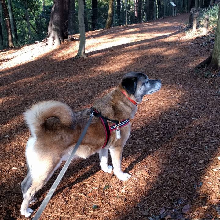 90ef25d5 1f43 4200 831b 2530f37fafd4