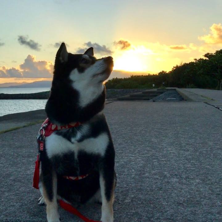 90ef386a d7b4 4db9 8cd1 a0829a5d3957