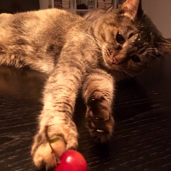 90ef58a9 59e4 4da7 8480 d3eed234e742