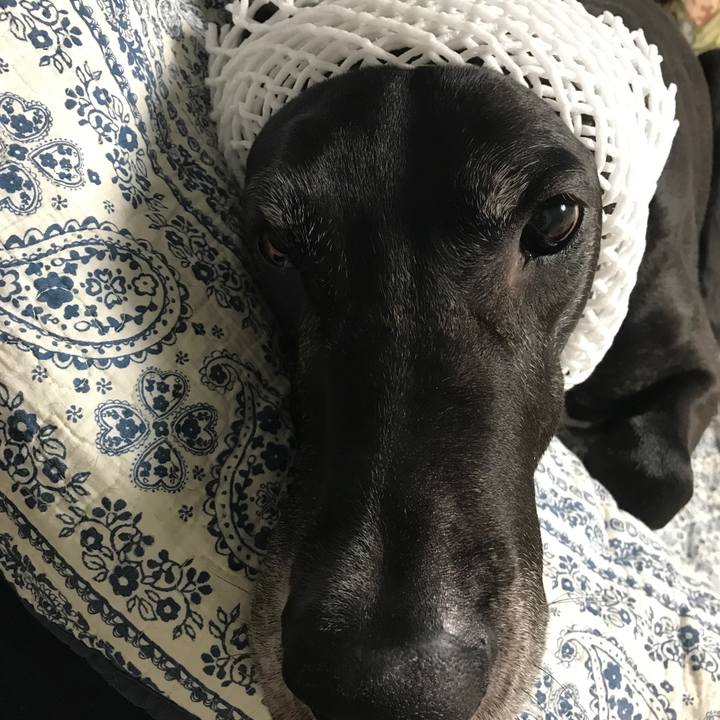 90ef766a 35f3 4b4e ae8c 269f833716df