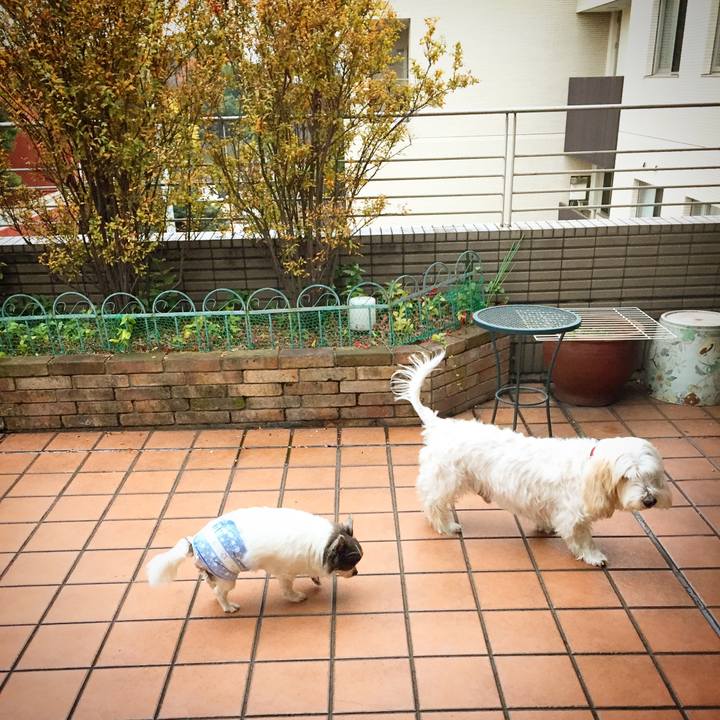 90f010ba d3b5 4de5 8991 676290e5ed9e