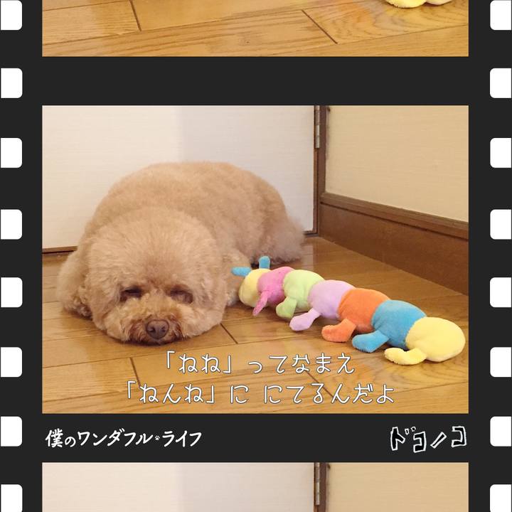 90f05e6a 23b9 4184 9c14 e963075c63ed