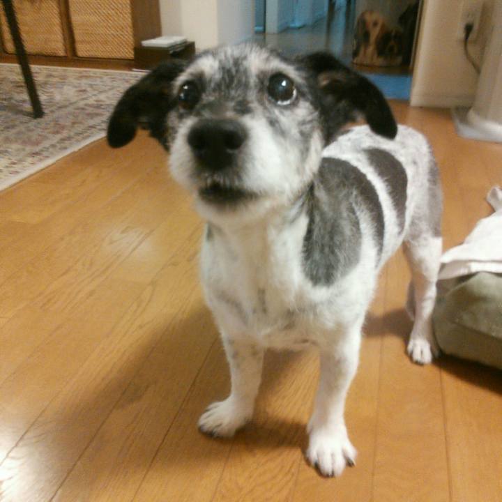 90f0d4ba cd76 40e9 8c1c c4ee3298503e