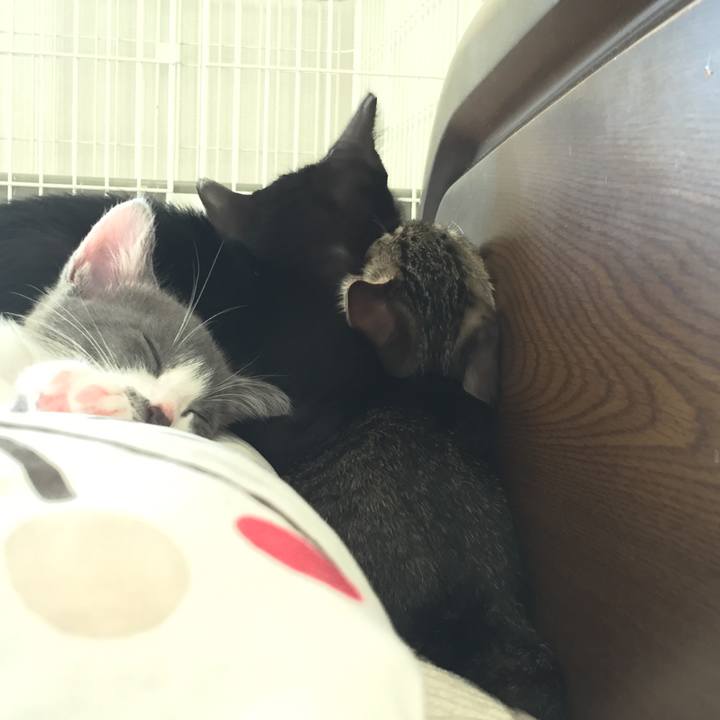 90f0e2c8 7bca 4cae 87e7 995a1835c82c