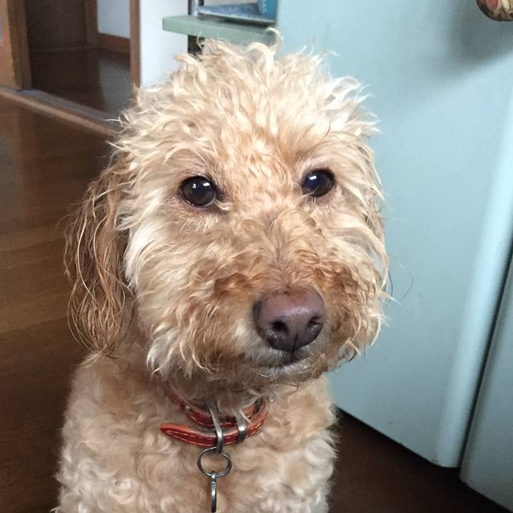 90f0f51d f9cc 42dc b298 471ab8c87c09