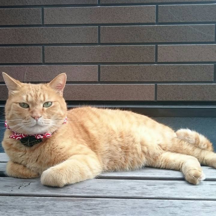 90f13e64 2fde 4d68 8c9e bf796d0f5fed