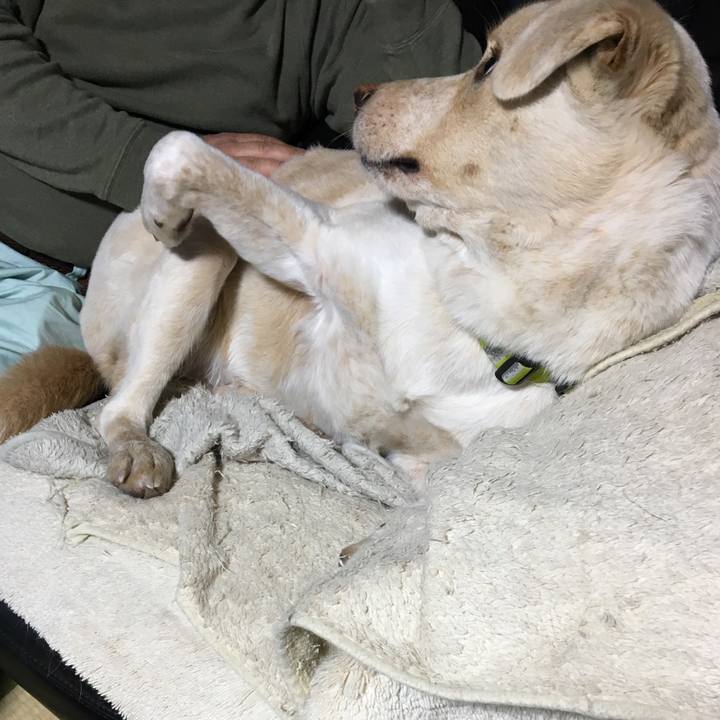 90f1d217 76d7 4a77 84cf d93d5191476d